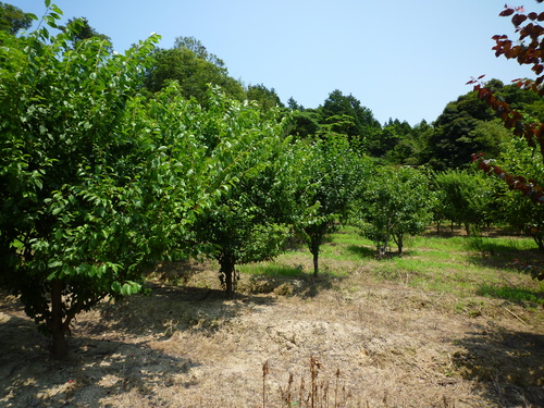 f0131491_18542965.jpg