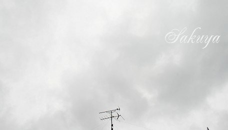 e0122194_18112288.jpg