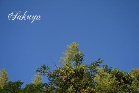 e0122194_18145276.jpg