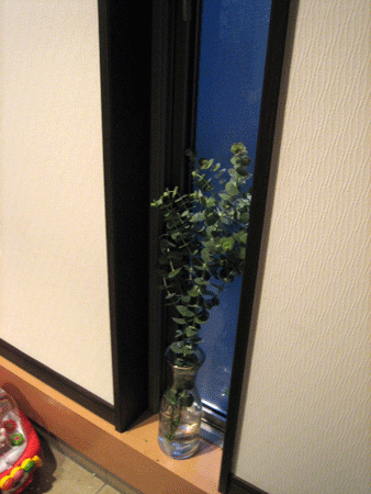 f0200901_19562555.gif