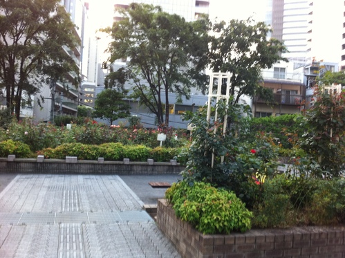 d0054704_1225538.jpg