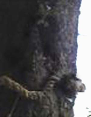 e0103408_2324183.jpg