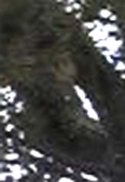 e0103408_23331642.jpg