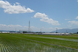 f0221708_14424722.jpg