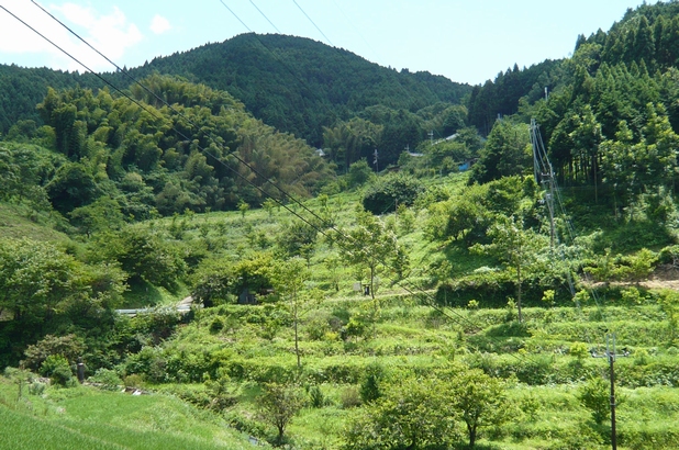 f0221708_14433020.jpg