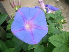 c0190010_2044042.jpg