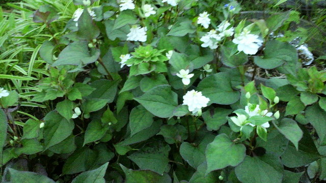 b0035611_19244311.jpg