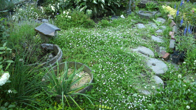 b0035611_19244368.jpg