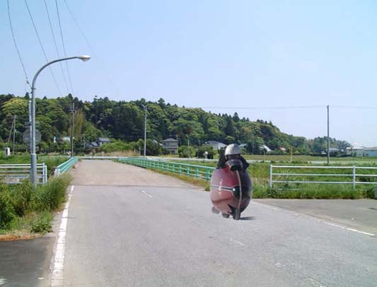 c0083518_20121553.jpg