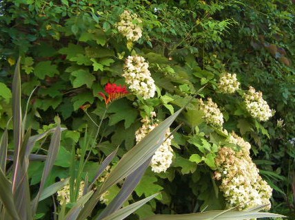 c0204121_132844.jpg