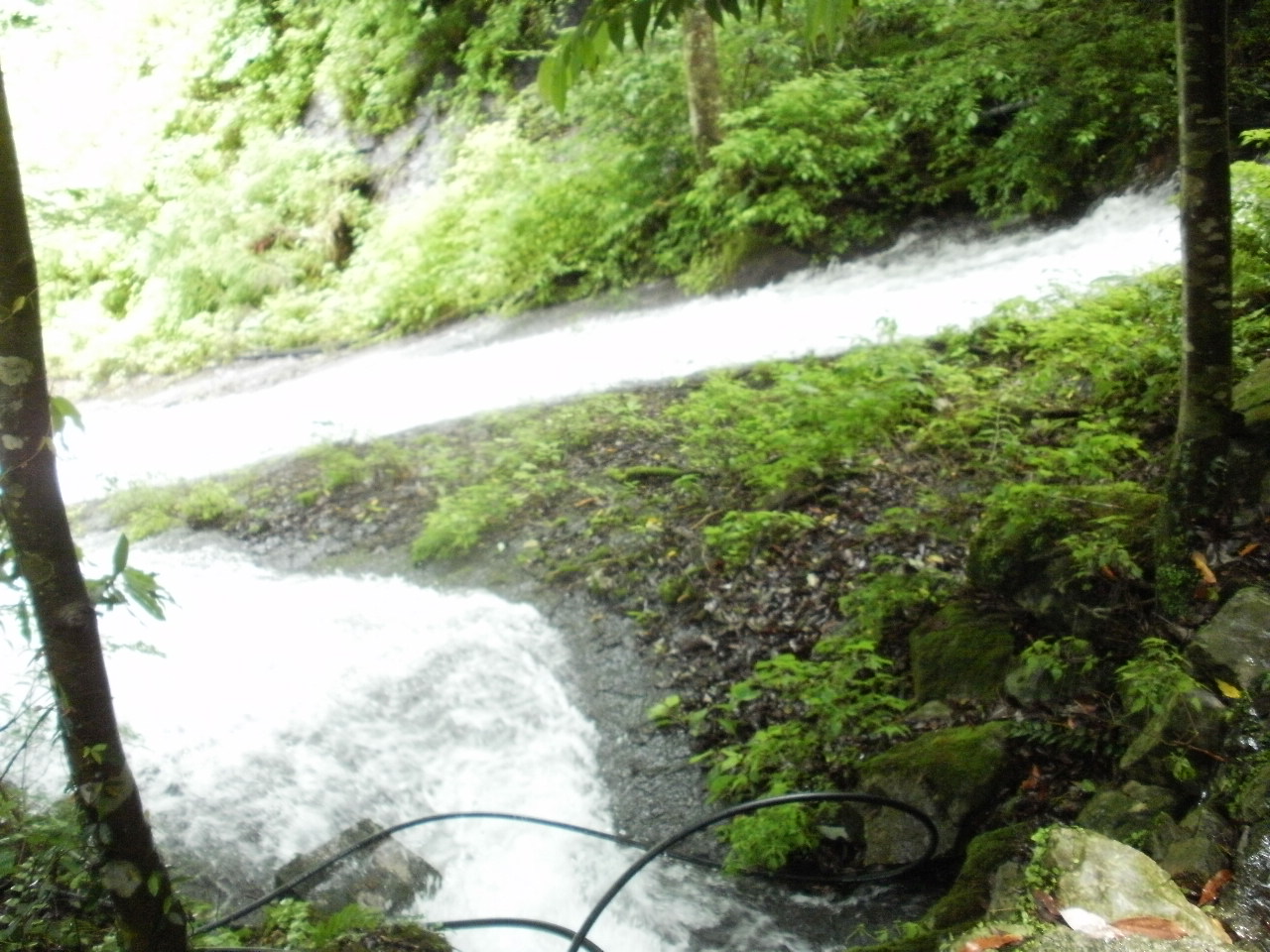 f0095325_1051183.jpg