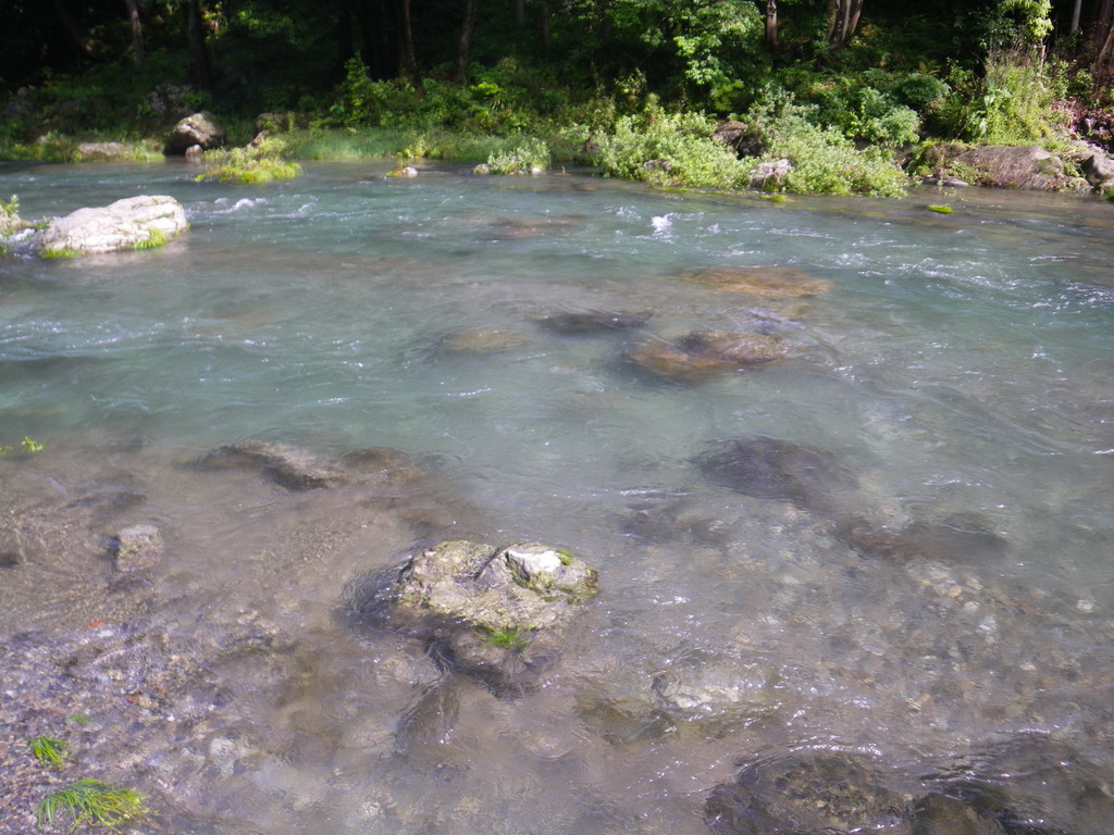 d0172227_16245136.jpg