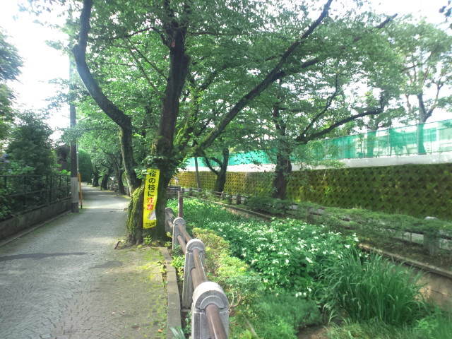 e0016828_924427.jpg