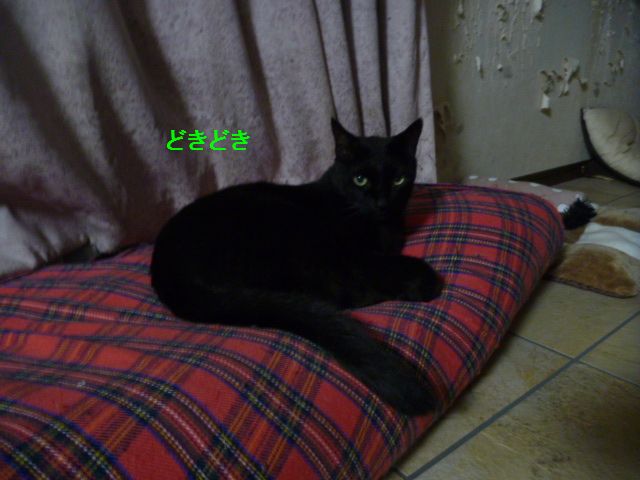 e0142430_1005289.jpg