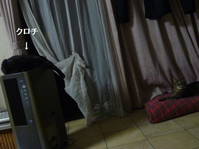 e0142430_1044159.jpg