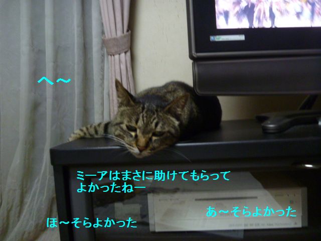 e0142430_9584665.jpg