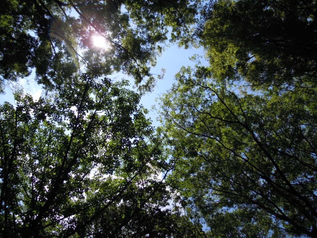 e0081334_23294260.jpg
