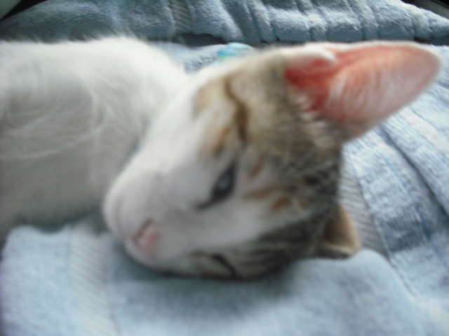c0194042_2150967.jpg