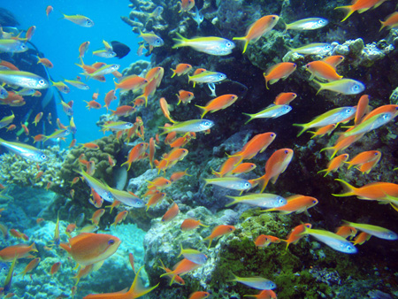 f0014842_20133629.jpg