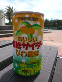 d0096843_0264788.jpg