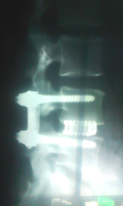 b0164959_17404121.jpg