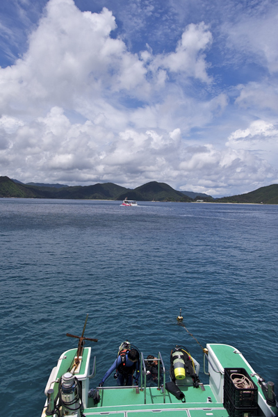 b0062363_20502438.jpg