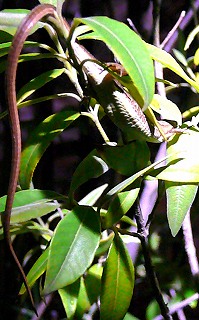 b0169765_7434858.jpg