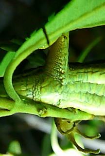 b0169765_7435716.jpg