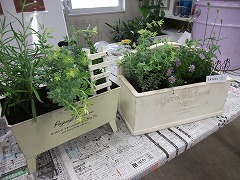 f0201565_16562421.jpg