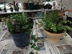 f0201565_16564325.jpg