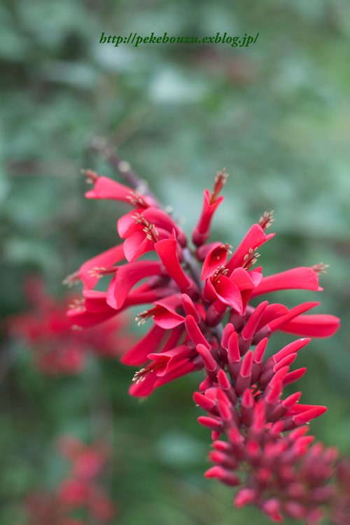 c0210275_2033521.jpg
