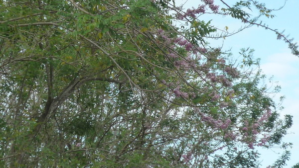 e0024081_14422583.jpg