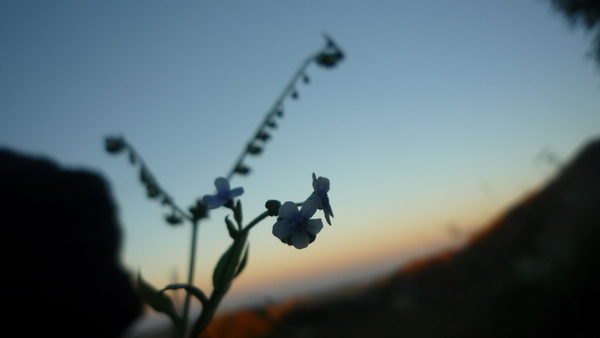 e0024081_15291315.jpg