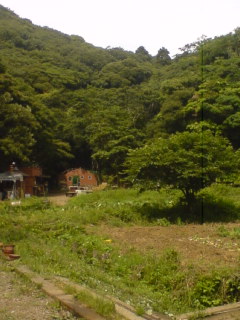 c0035386_2333449.jpg