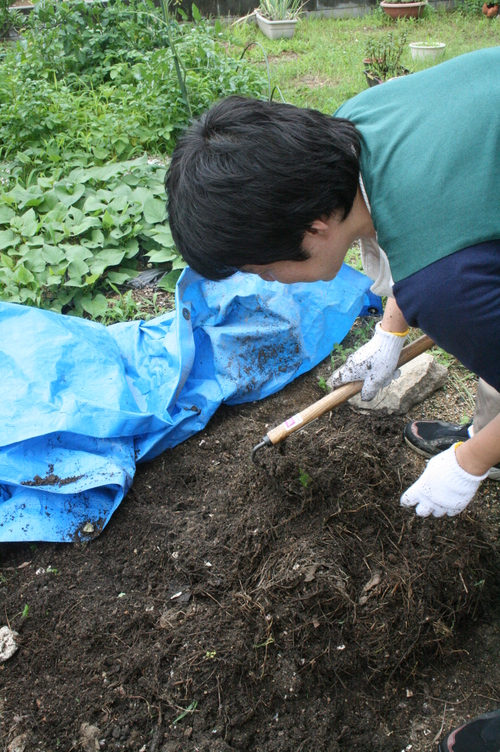 f0142986_10491472.jpg