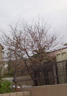 f0215487_0492336.jpg