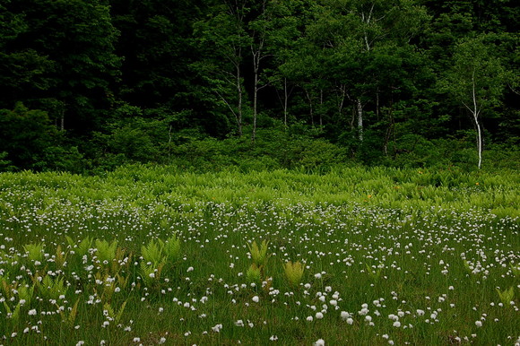 b0203588_1972340.jpg