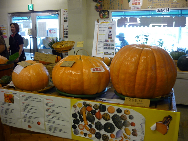 f0230888_2342997.jpg