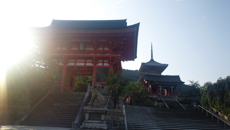 a0079292_12294079.jpg