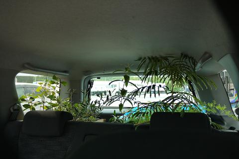 f0222692_2013858.jpg