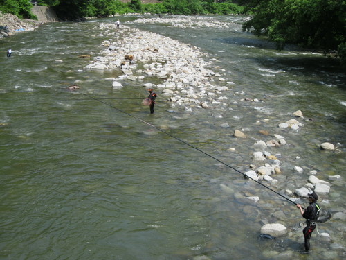 f0230992_1433396.jpg