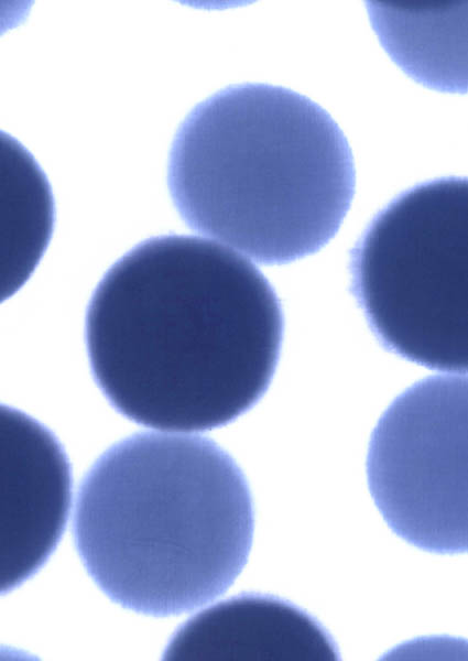 c0166293_1022662.jpg