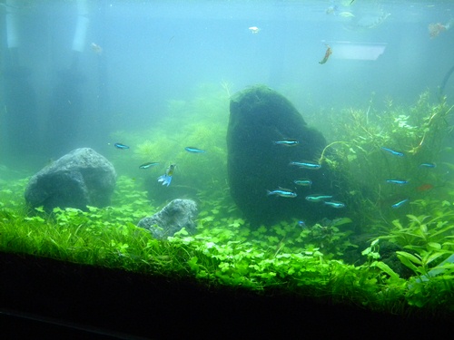 f0138093_18363845.jpg