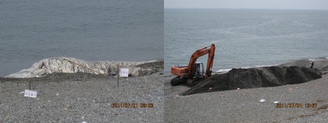 c0133096_21544681.jpg