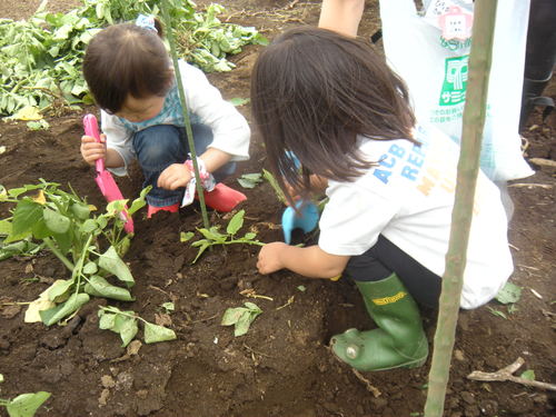 e0028696_0161057.jpg
