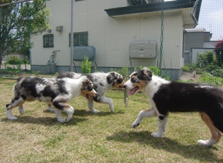 f0077697_18342681.jpg