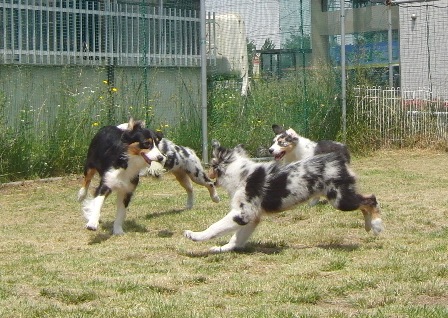 f0077697_1836599.jpg