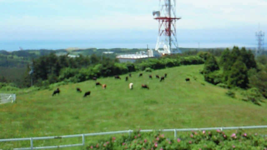 d0149105_16284092.jpg
