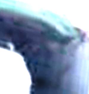 e0103408_2081530.jpg
