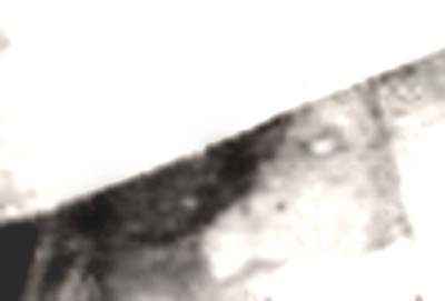 e0103408_2102642.jpg